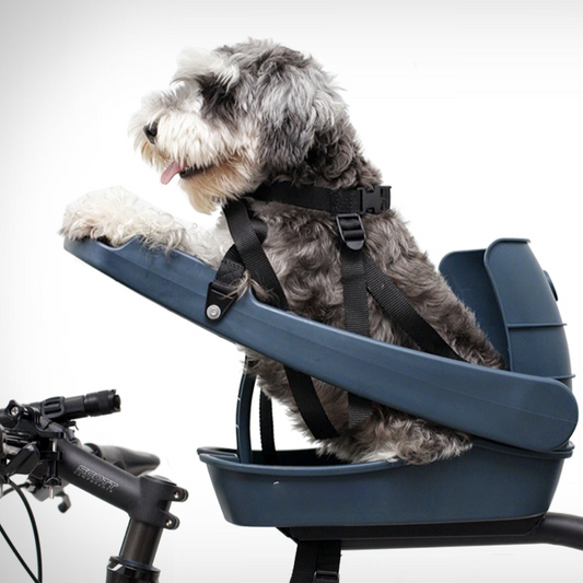 Dog Bicycle Seat